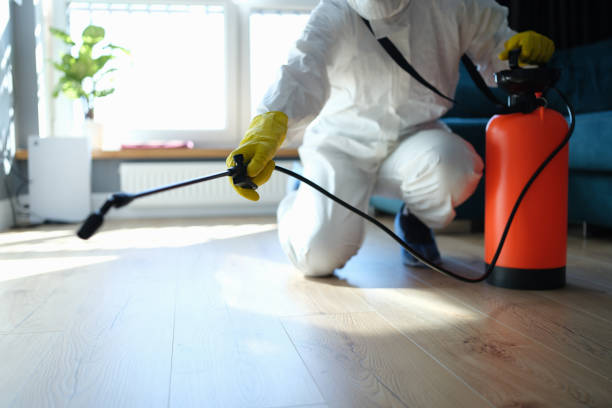Reliable Odor Removal contractor in Harwich, MA by Trauma Clean Pros